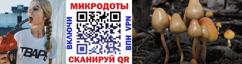 где купить наркоту  Палласовка  это какой сайт  Галлюциногенные грибы Magic Shrooms 