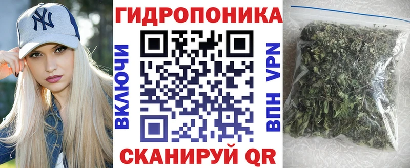Бошки марихуана семена  продажа наркотиков  Палласовка 